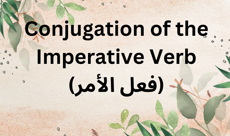 Conjugation of the Imperative Verb (فعل الأمر)